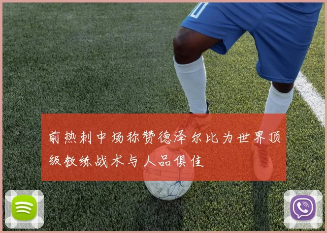 前热刺中场称赞德泽尔比为世界顶级教练战术与人品俱佳